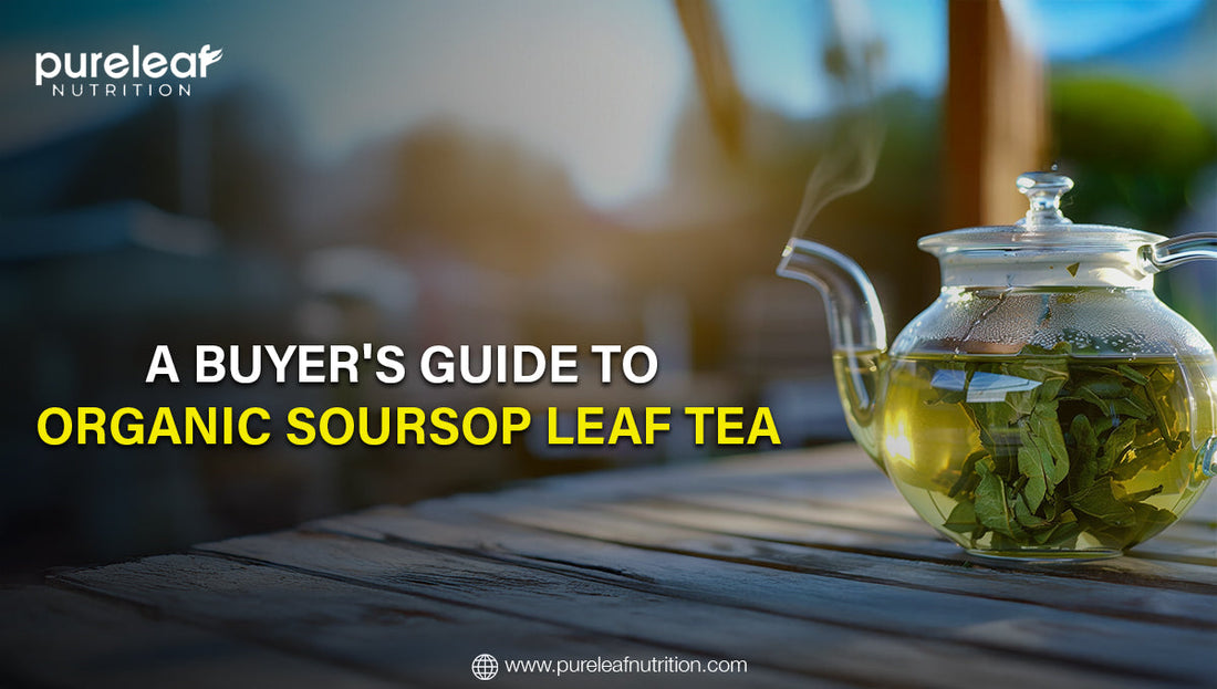 A Buyer's Guide to Organic Soursop Leaf Tea